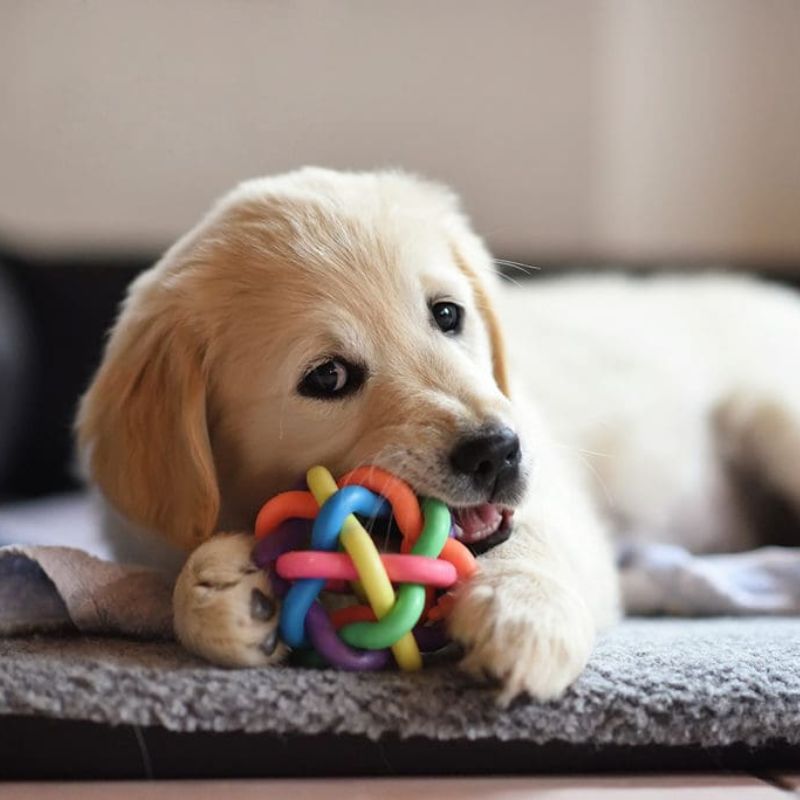 Ghi nhớ những lời khuyên hữu ích từ chuyên gia.