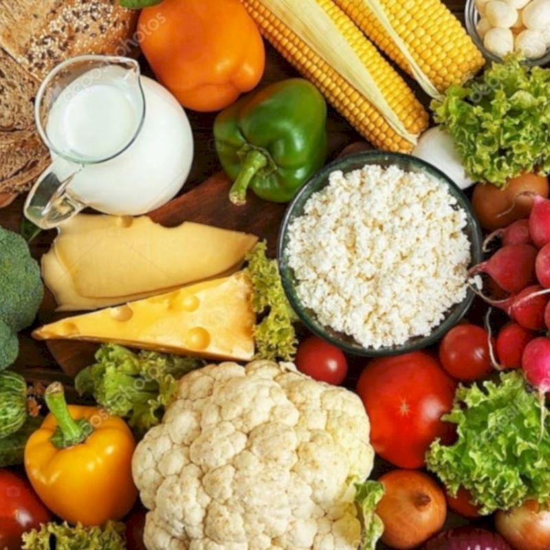 Tham khảo thức ăn cho chó không ăn hạt,