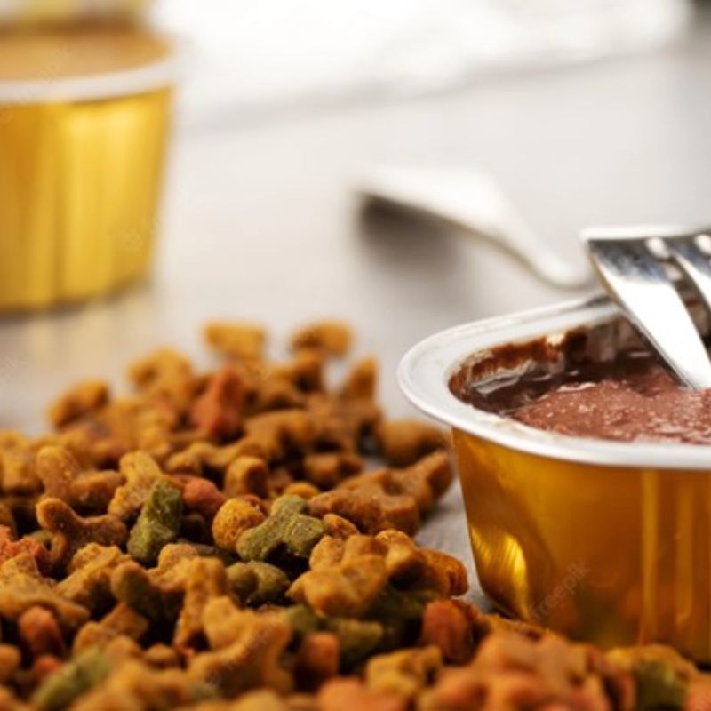 Thử pate cho chó biếng ăn.