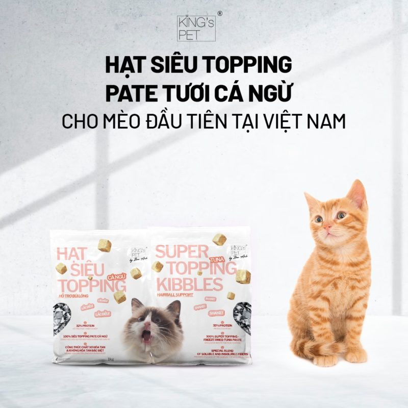 Giải Pháp Cho Mèo Khó Tiêu – Hạt Pate Mềm Mịn, Hỗ Trợ Tiêu Hóa Tốt
