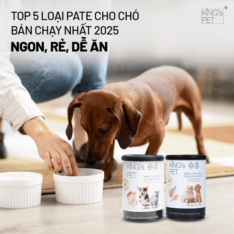 Pate cho chó chất lượng cần biết.