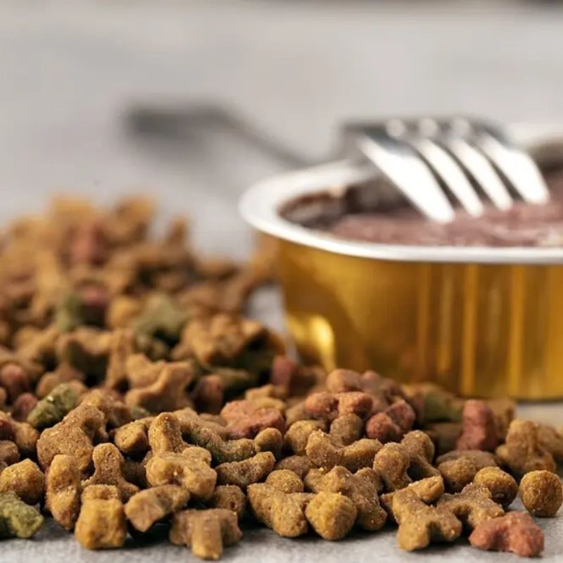 Pate chó mix hạt lôi cuốn.