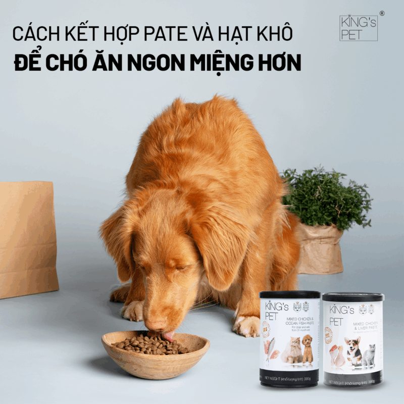 Pate cho chó ăn ngon miệng.