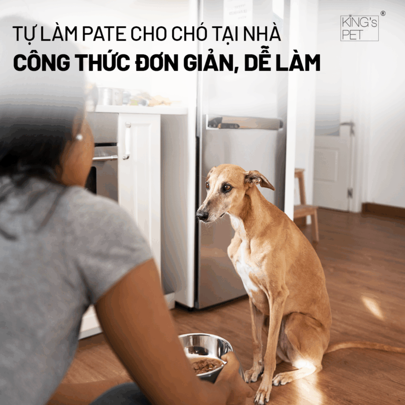 Tự làm pate cho chó cưng đơn giản.