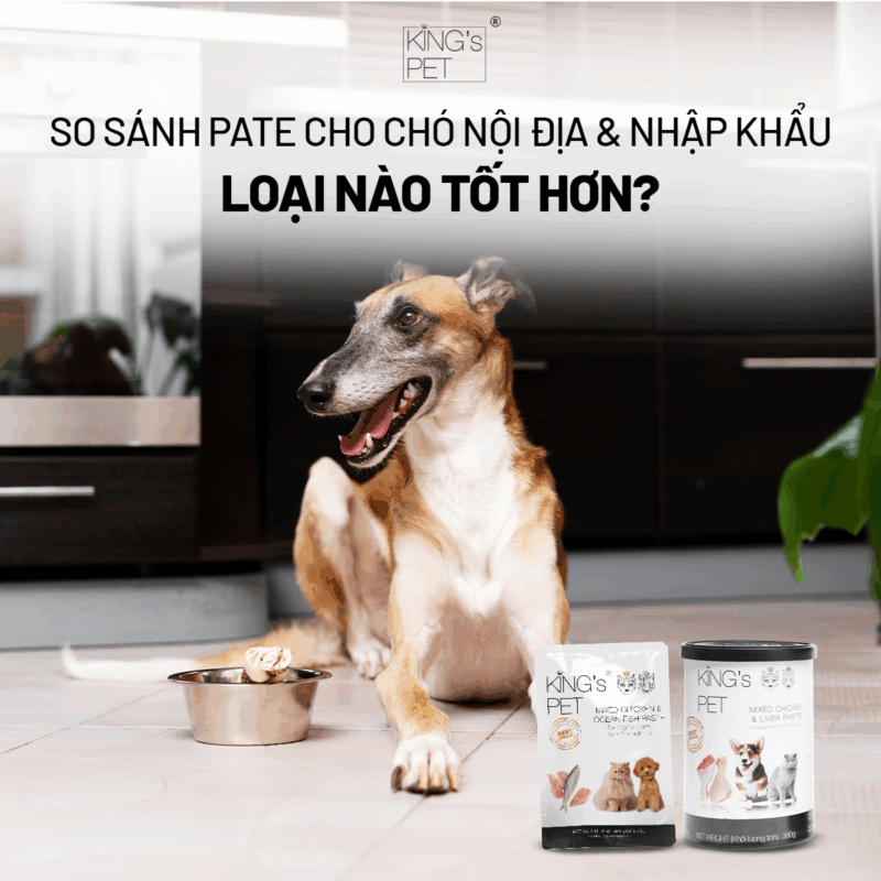 So sánh pate chó nội địa và nhập khẩu.