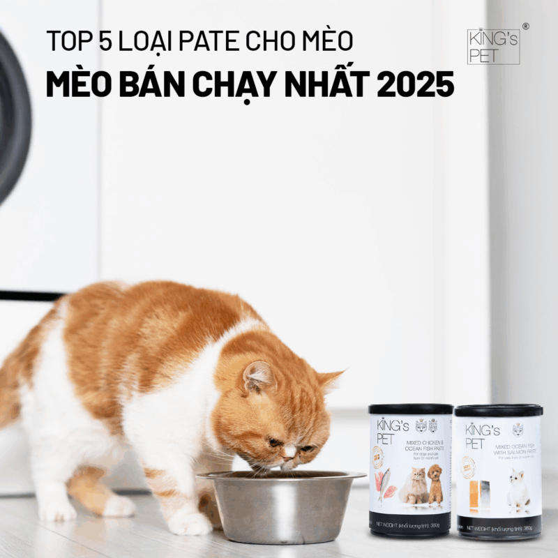 Tham khảo các loại pate mèo bán chạy.