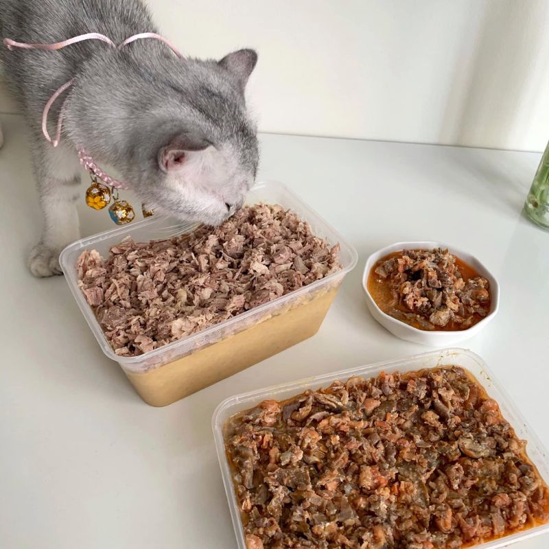 Học cách trộn pate mèo.