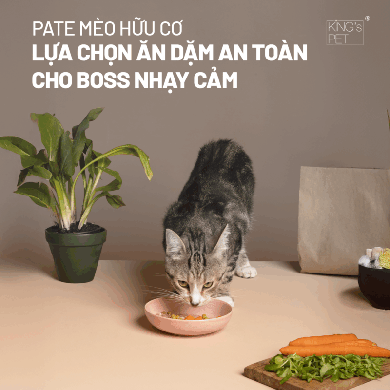 Pate mèo hữu cơ tiện lợi.