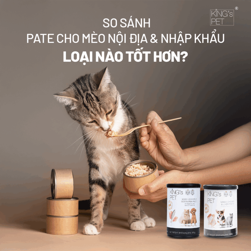 Khám phá sự so sánh giữa pate cho mèo nội địa và nhập khẩu.