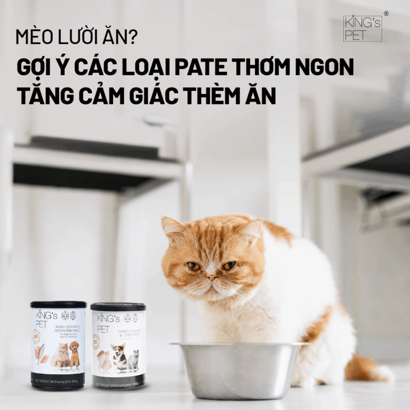 Pate thơm ngon cho mèo lười ăn.