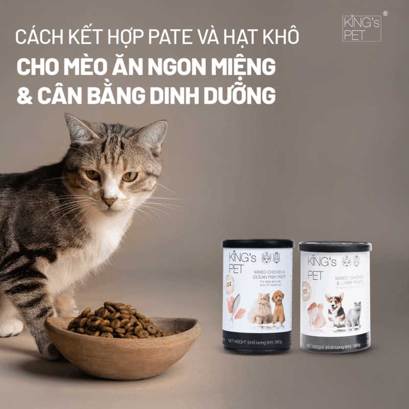 Cách kết hợp thực phẩm tạo nên bữa ăn cho mèo.