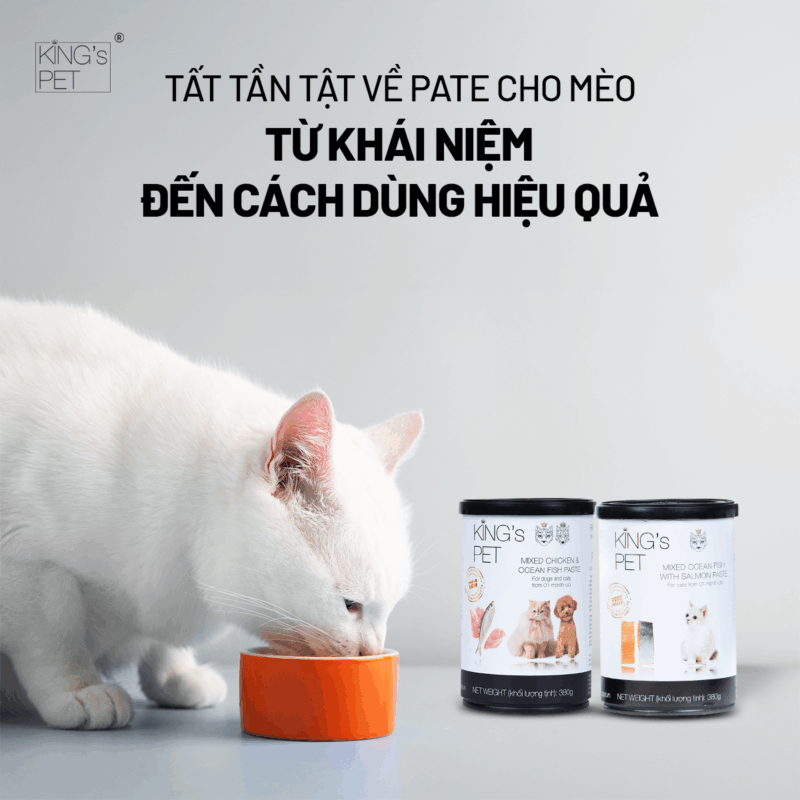 Tìm hiểu tất cả thông tin về pate cho mèo.