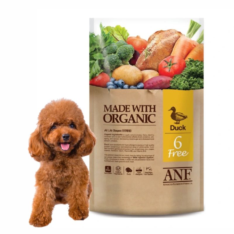 Chọn thức ăn phù hợp cho chó poodle.