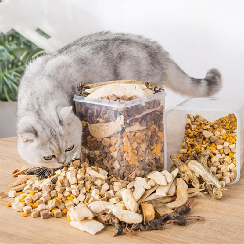 Tìm hiểu về thức ăn chó mèo.