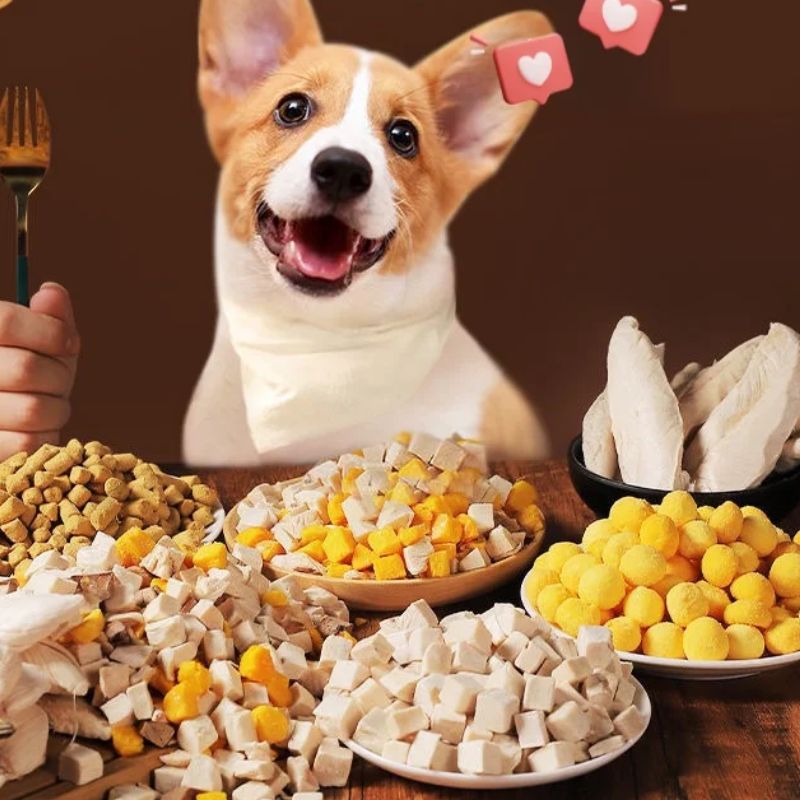 Thông tin về thức ăn cho chó uy tín.