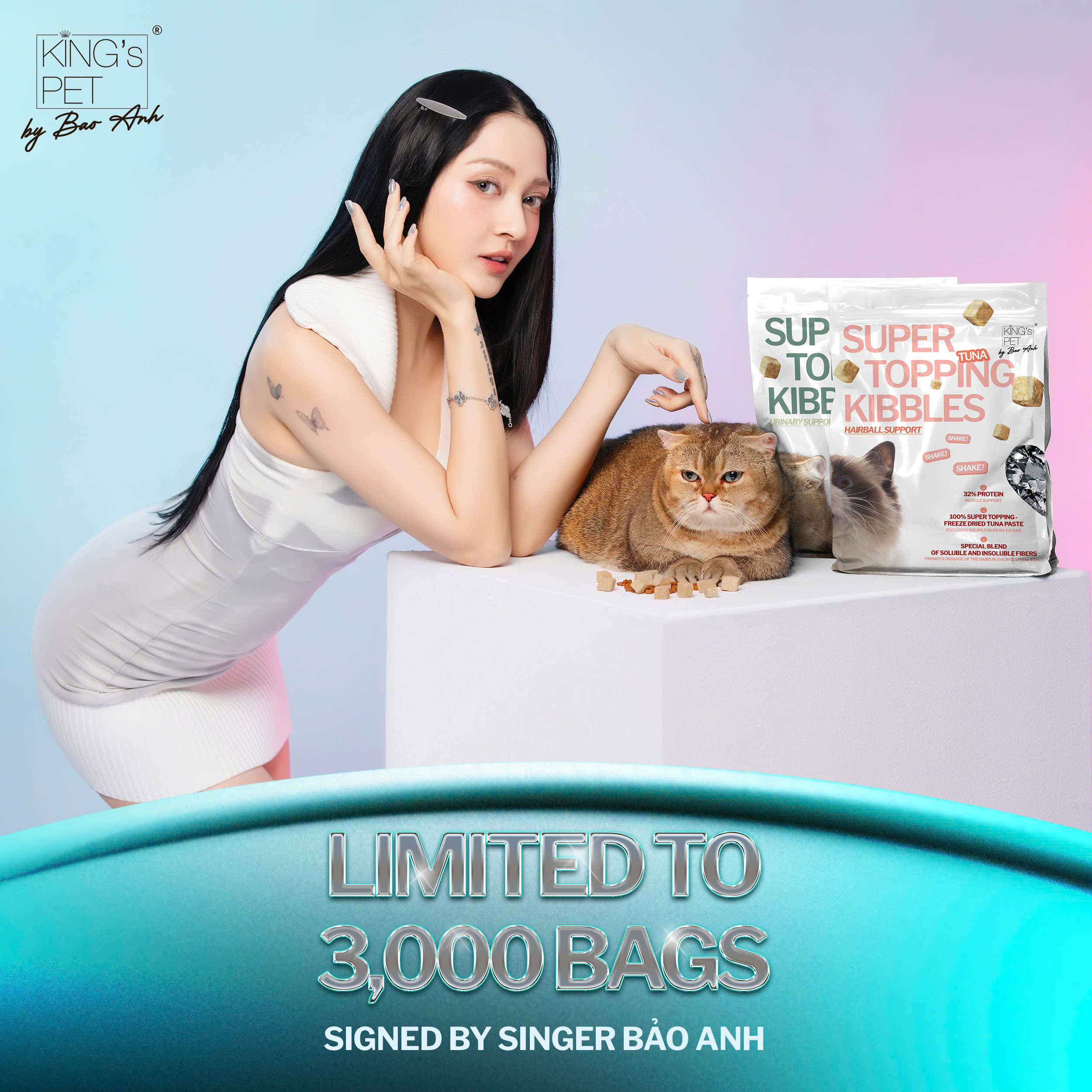 Singer Bao Anh
