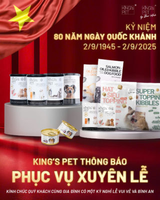 Quốc khánh 2/9