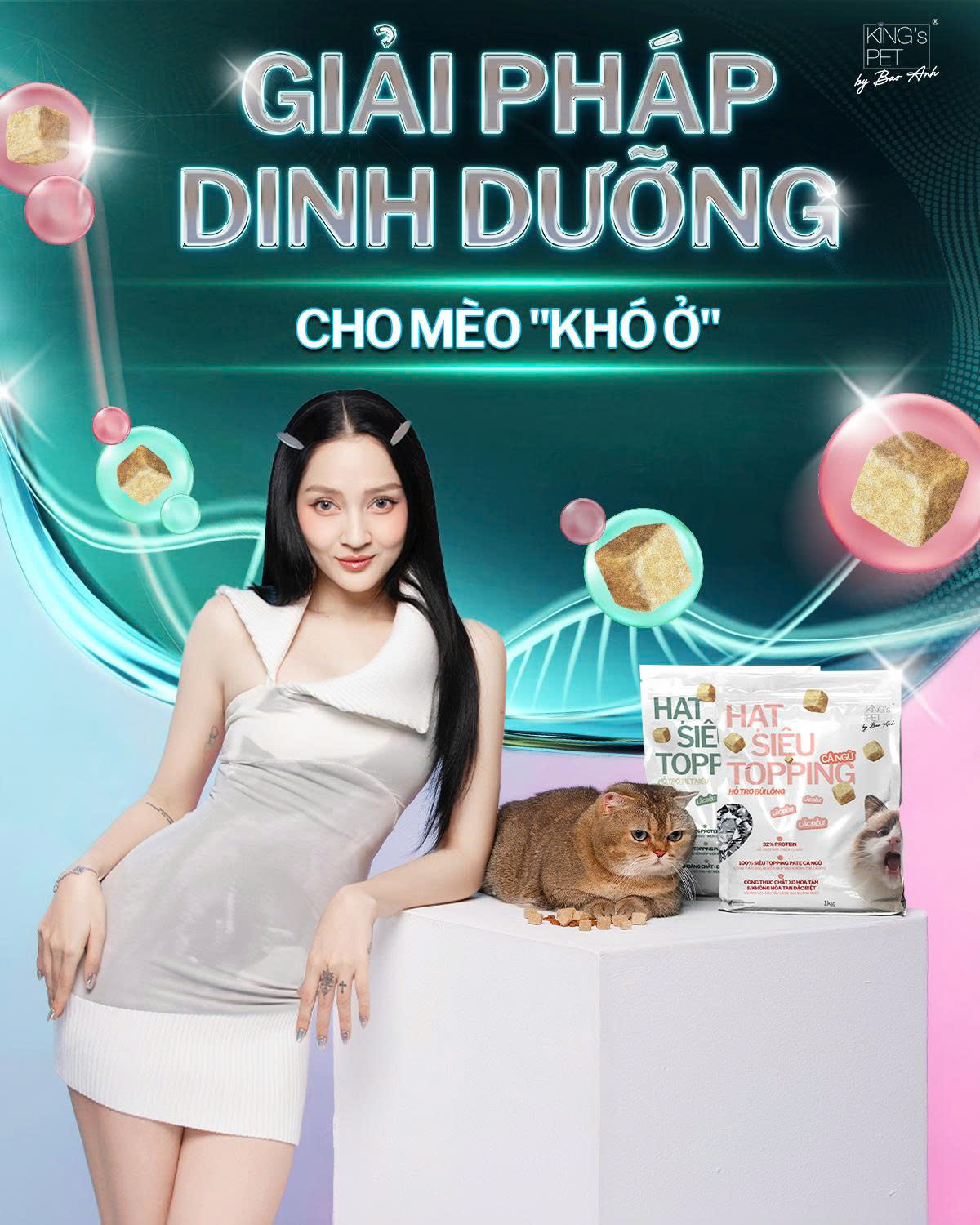 Mèo kén ăn