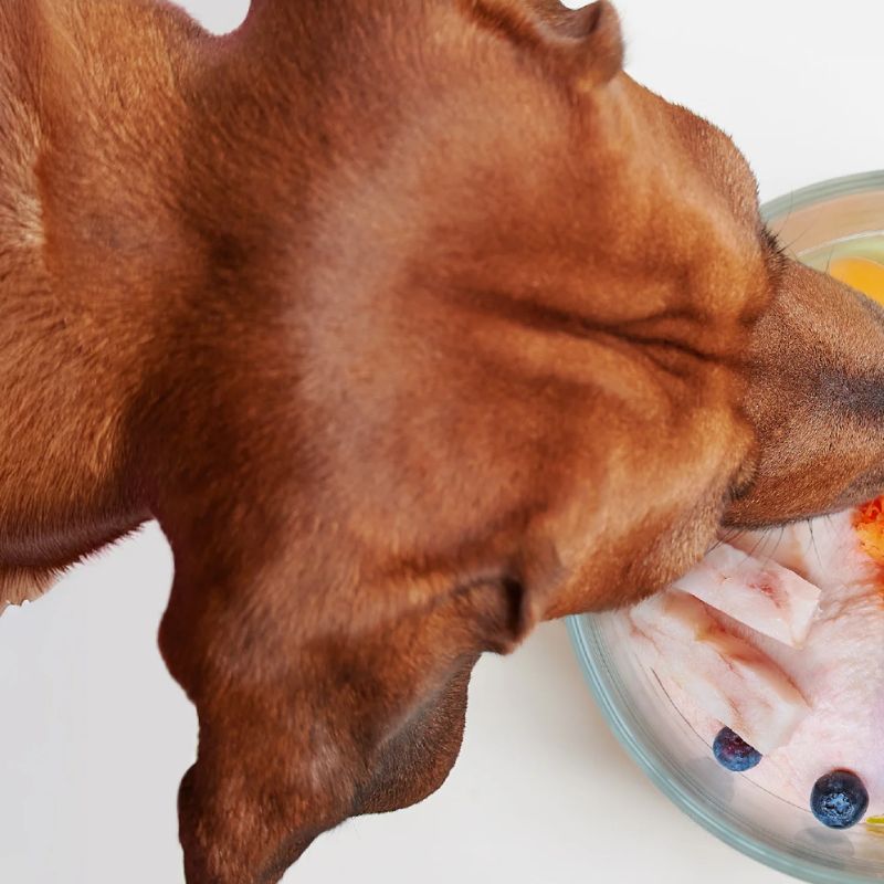 Chiến lược hoạt động của các doanh nghiệp.