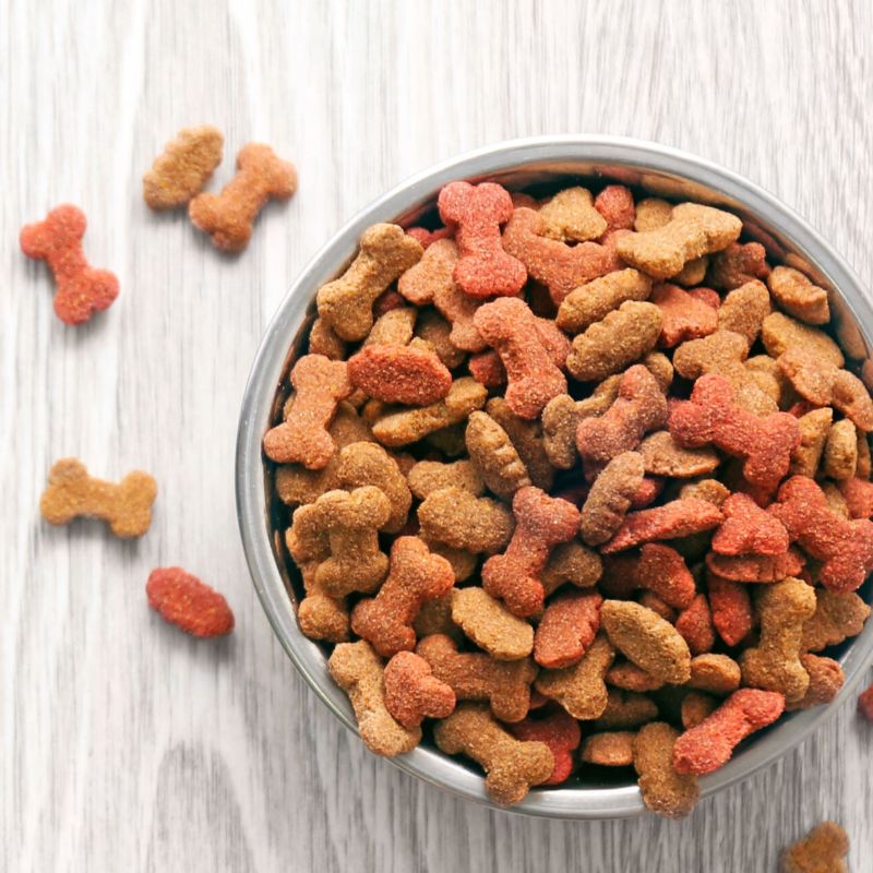 Cập nhật địa chỉ phân phối thức ăn chó mèo uy tín.