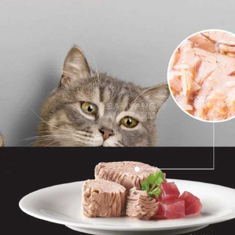 Tiêu chí chọn thương hiệu pate chó mèo uy tín.