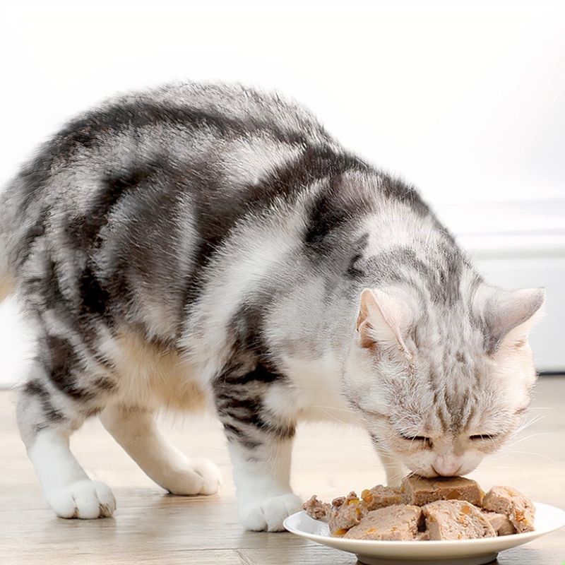 Pate chất lượng cho thú cưng.