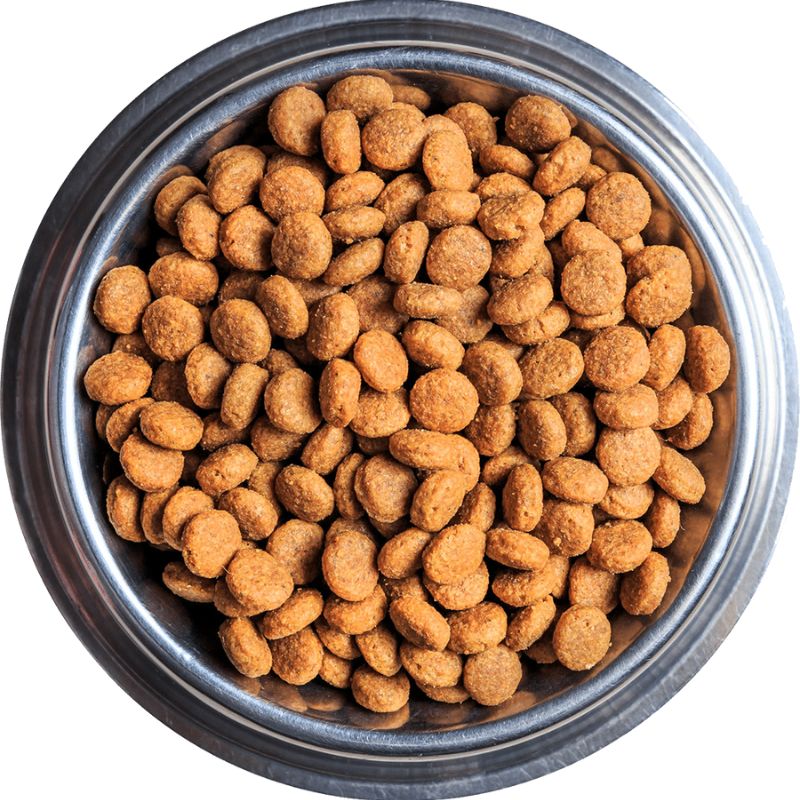 Một số loại thức ăn khô cho chó mèo phổ biến.