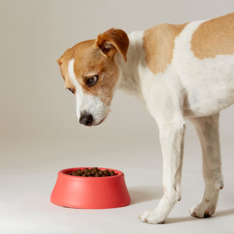 Thương hiệu nội địa nổi bật hiện nay.