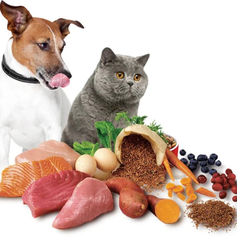 Dòng sản phẩm thức ăn chó mèo cao cấp.