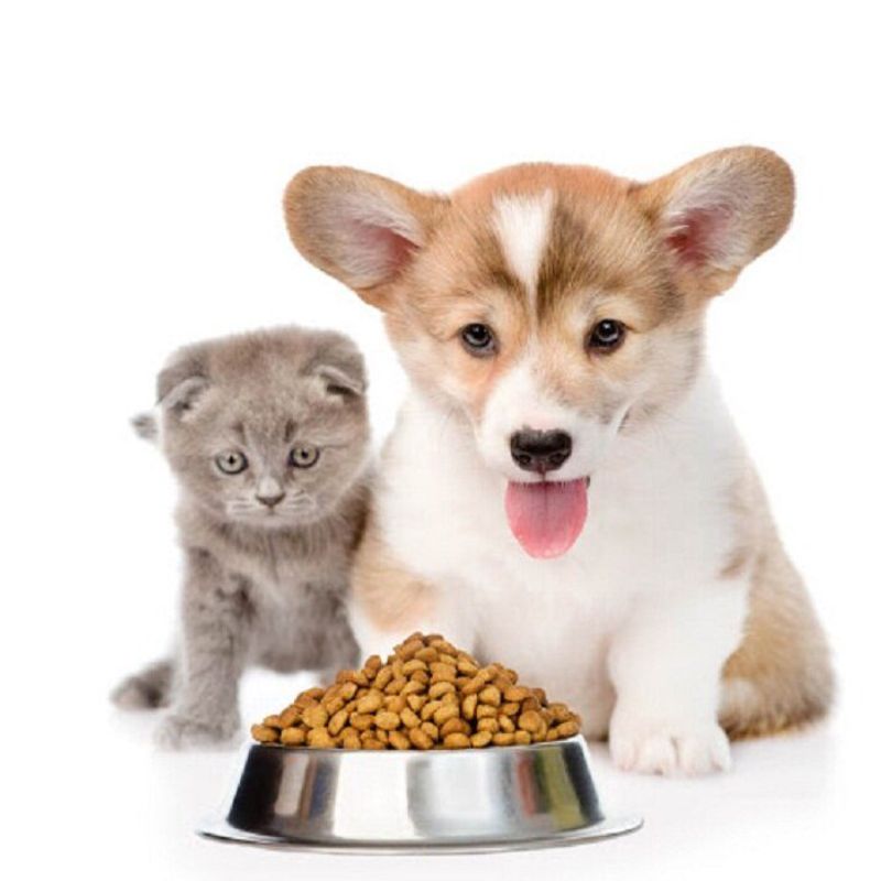 Top thức ăn chó mèo thơm ngon.