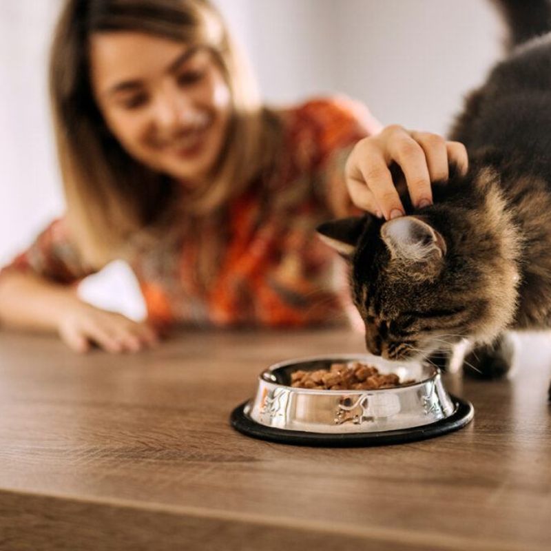 Thức ăn chó mèo bán chạy.