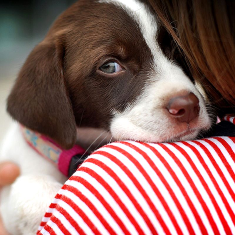 Khẩu phần ăn kết hợp với chế độ dinh dưỡng hợp lý.