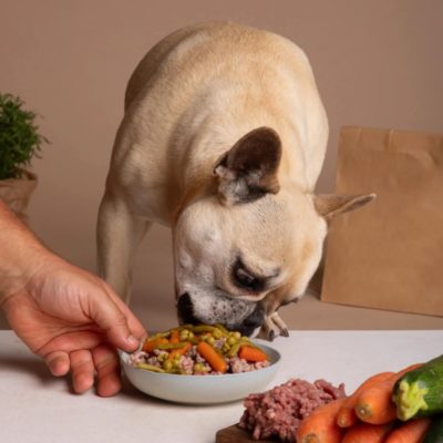 Hướng dẫn nấu thức ăn cho chó tại nhà – Đảm bảo đủ dinh dưỡng