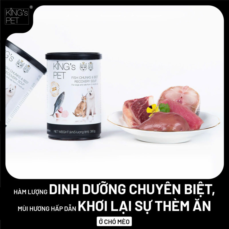 Súp Cá Sốt Bò King's Pet