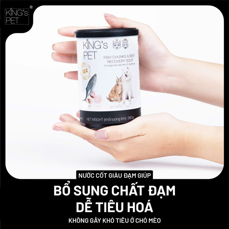 Súp Cá Sốt Bò King's Pet