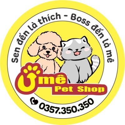 Partner