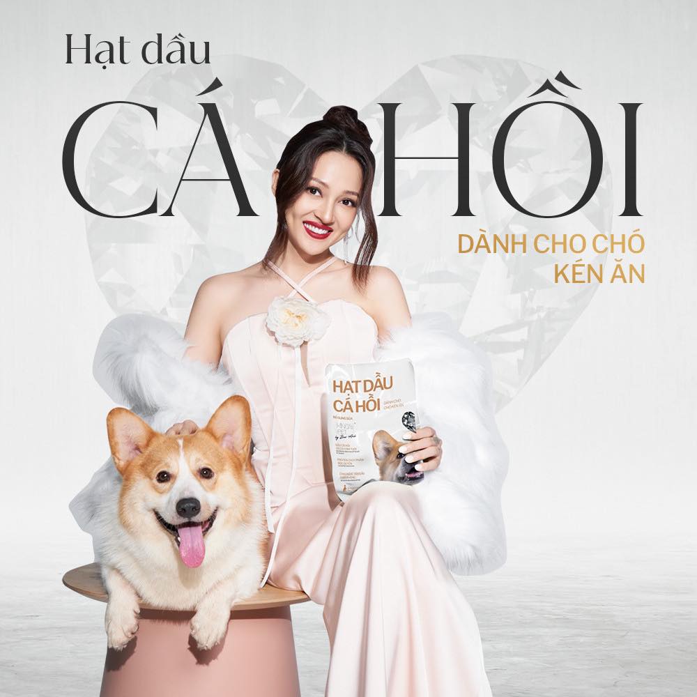 Hạt Dầu Cá Hồi