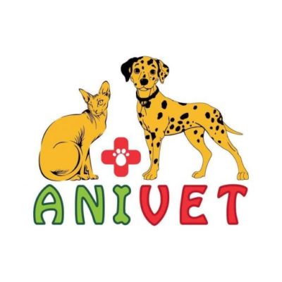 Partner