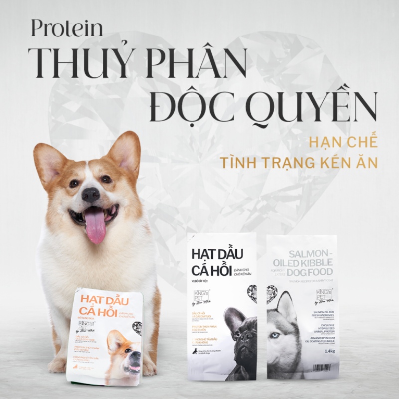 Bổ Sung Canxi Cho Chó: Liều Lượng, Lưu Ý & Sai Lầm Cần Tránh