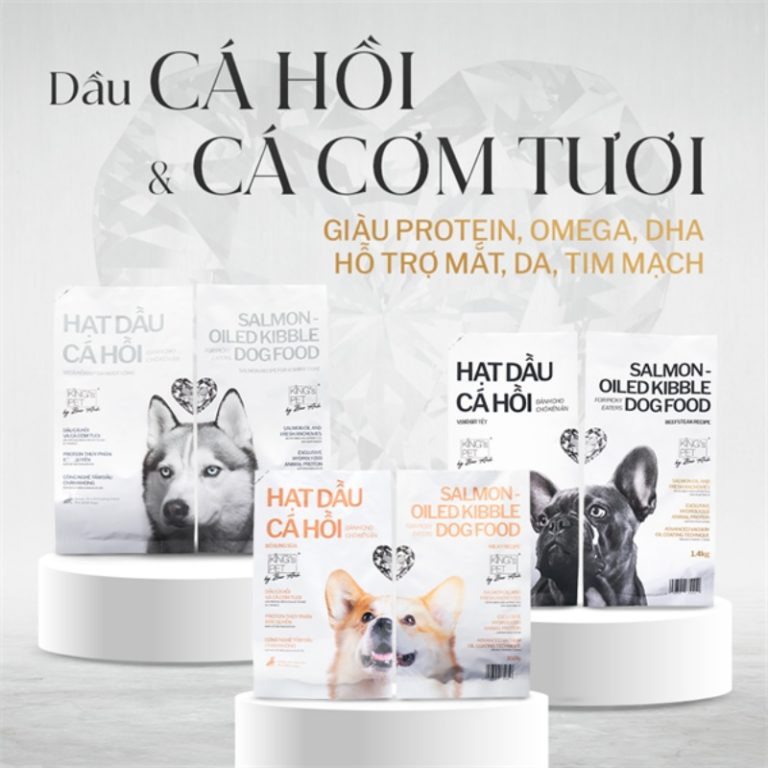 Top 7 Cách Chăm Sóc Chó Rụng Lông Hiệu Quả Sau 14 Ngày