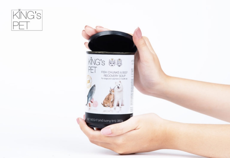 Súp cá sốt bò King's Pet - Bữa ăn nhẹ bụng cho mèo sau bệnh