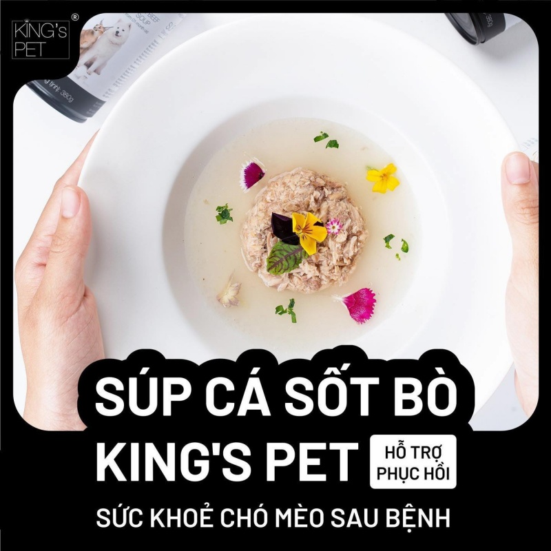 Súp cá sốt bò King's Pet - Bữa ăn nhẹ bụng cho mèo sau bệnh 