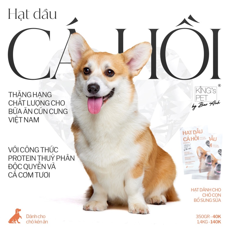 Hạt dầu cá hồi King's Pet by Bao Anh - Bữa ăn thơm ngon tròn dinh dưỡng cho chó 