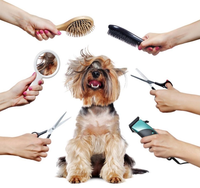Biện pháp phòng chống các bệnh về da và ký sinh trùng mùa khô