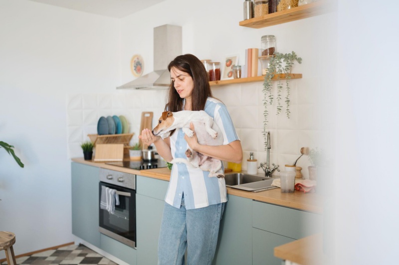 Cách chăm sóc và giữ gìn sức khoẻ cho thú cưng trong quá trình trông giữ