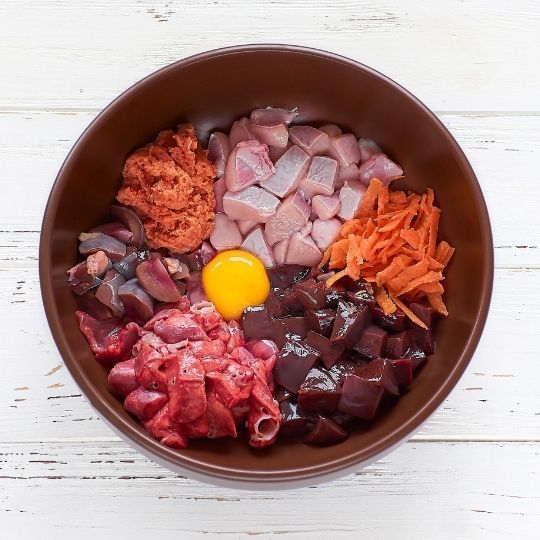 Chó bị bệnh