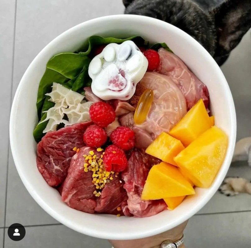 thức ăn thú cưng
