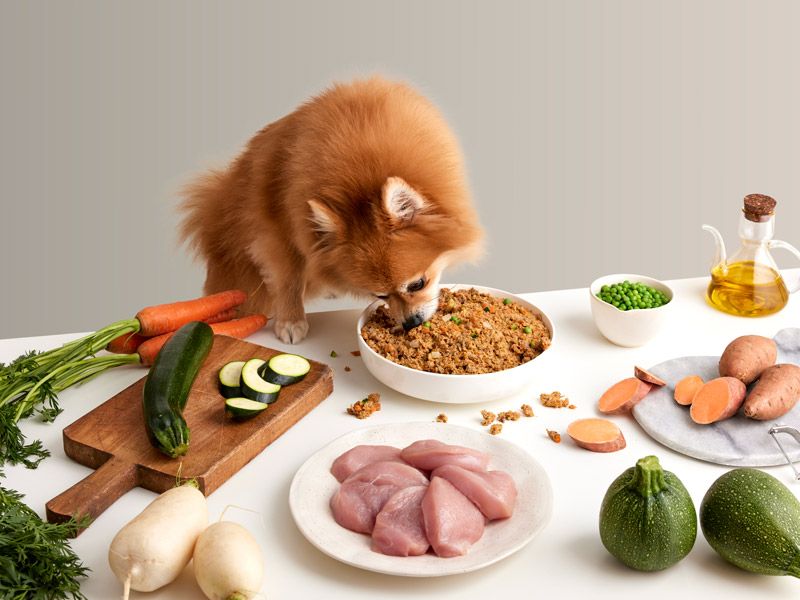 thức ăn thú cưng