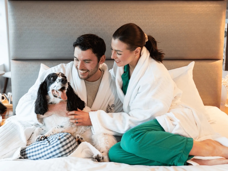 Các yếu tố cần lưu ý khi chọn địa điểm trông giữ chó mèo tại TP.HCM