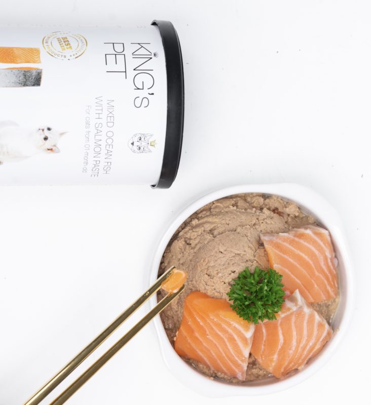 Điều trị bệnh cho chó mèo